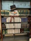 Прикрепленное изображение: Снеговик из книг.jpg