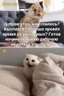 Прикрепленное изображение: Новая рабочая неделя.jpg