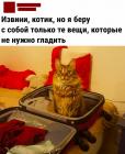 Прикрепленное изображение: Не нужно гладить.jpg