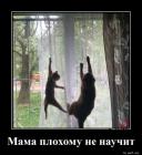 Прикрепленное изображение: Мама учит.jpg