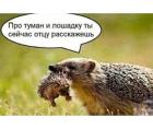 Прикрепленное изображение: 469518679_632788712411799_4553019067338123451_n.jpg