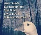 Прикрепленное изображение: 470679625_3417157751752512_1182953914507779024_n.jpg