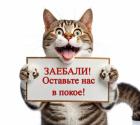 Прикрепленное изображение: 1733282213.jpg