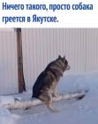 Прикрепленное изображение: 1735023546.jpg