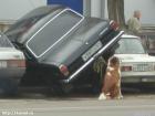 Прикрепленное изображение: image_26.jpg
