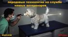 Прикрепленное изображение: 47222.jpg