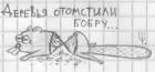 Прикрепленное изображение: x_3ac8f758df.jpg